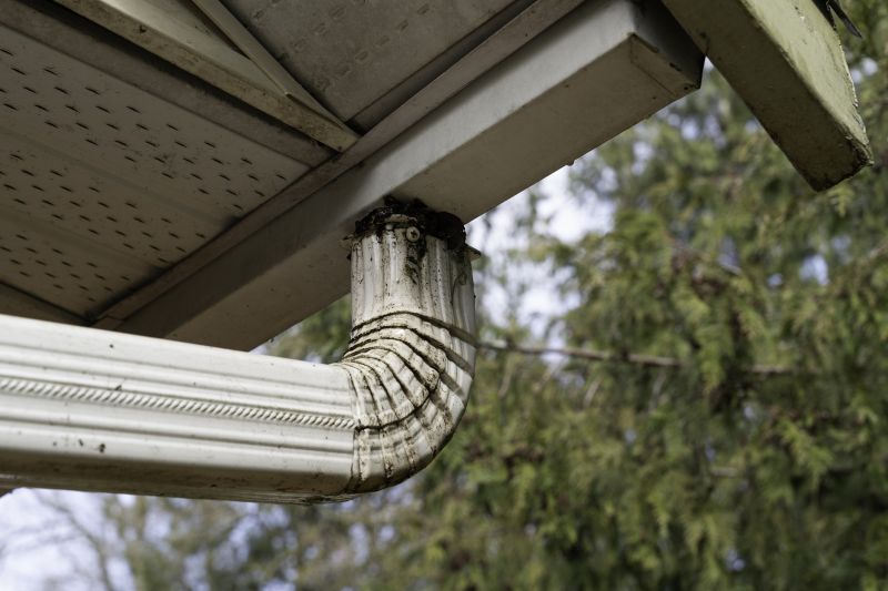 Downspout Cleaning and Repair